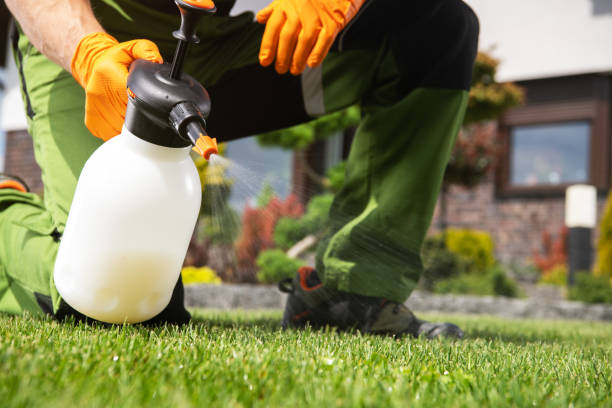 Best Emergency Pest Control  in Dallas, TX