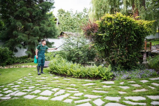 Best Best Pest Control Companies  in Dallas, TX