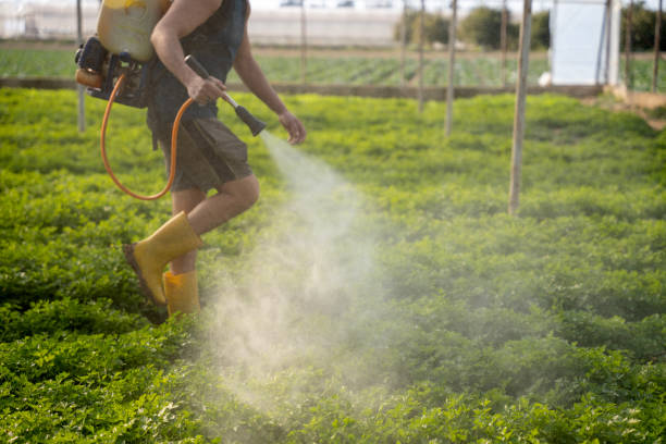 Pest Control Cost in Dallas, TX