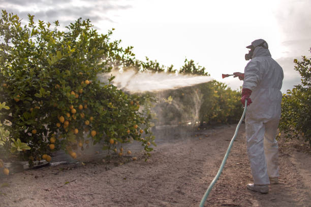 Best Pest Inspection Near Me  in Dallas, TX