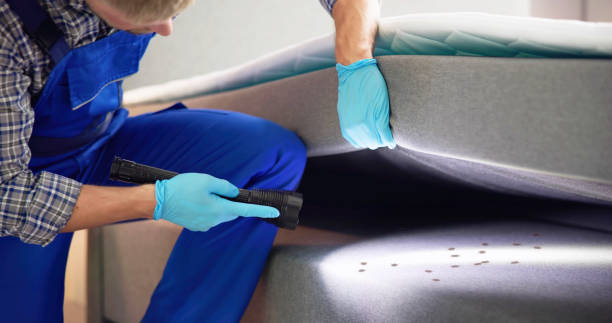 Best Affordable Pest Control Services  in Dallas, TX