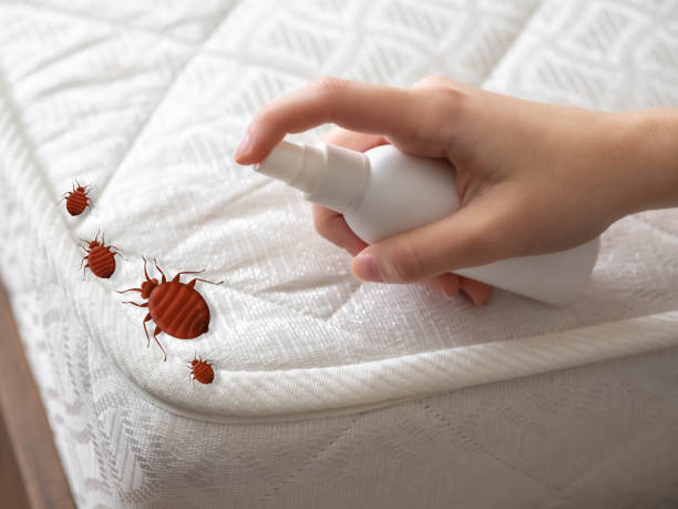 Best Exterminator Services  in Dallas, TX