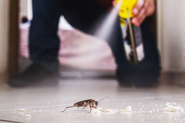 Reliable Dallas, TX Pest Control Solutions