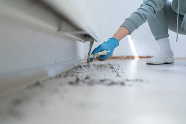 Best Rat Extermination Near Me  in Dallas, TX