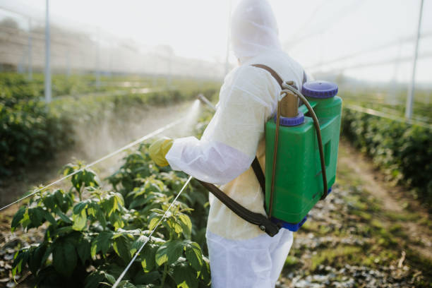  Dallas, TX Pest Control Pros